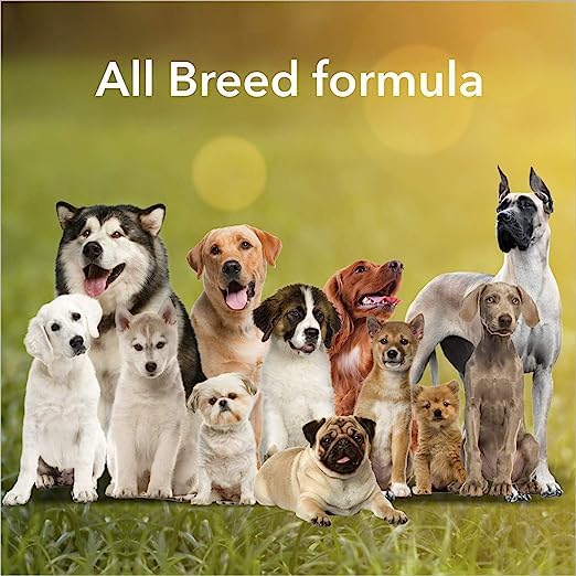 Milk Bisuits for Dog (1500 g)