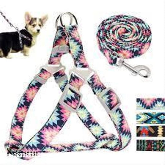 Nylon Dog Harness (Multicolor, M)